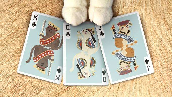 PlayingCardDecks.com-Meow Star Cat Playing Cards USPCC