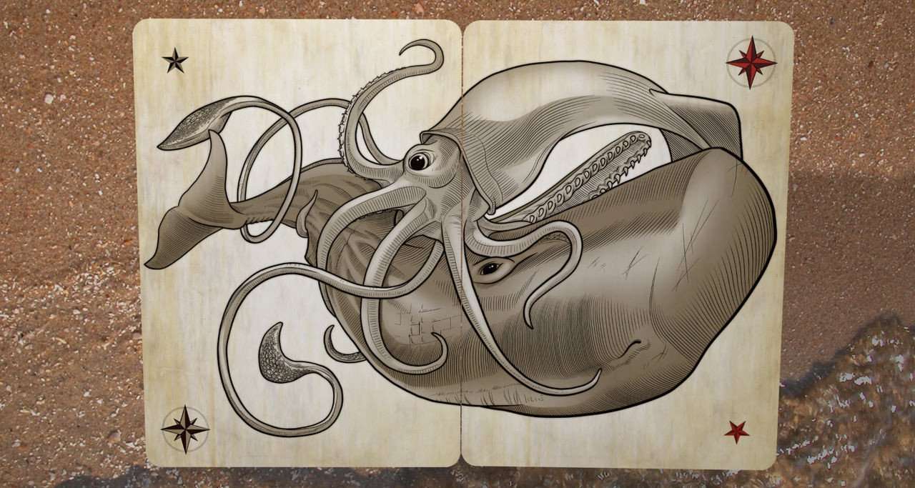 PlayingCardDecks.com-Sea Creatures Playing Cards Deck USPCC