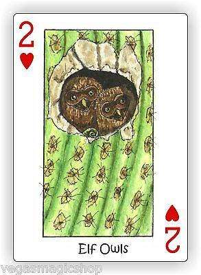 PlayingCardDecks.com-Wild Playing Cards Hidden Seek-N-Find Animals Deck
