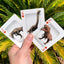 PlayingCardDecks.com-Dinosaurs Bicycle Playing Cards