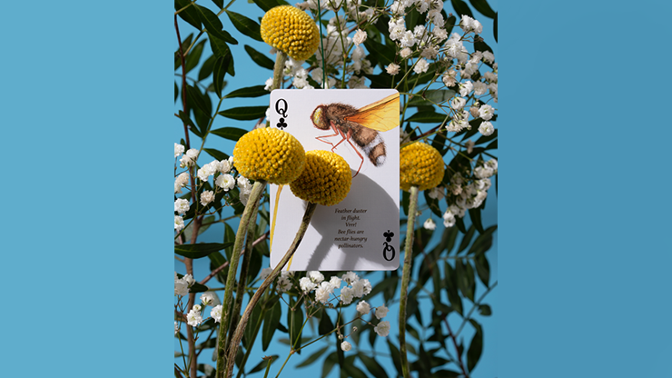 PlayingCardDecks.com-Eastern Forest Playing Cards USPCC