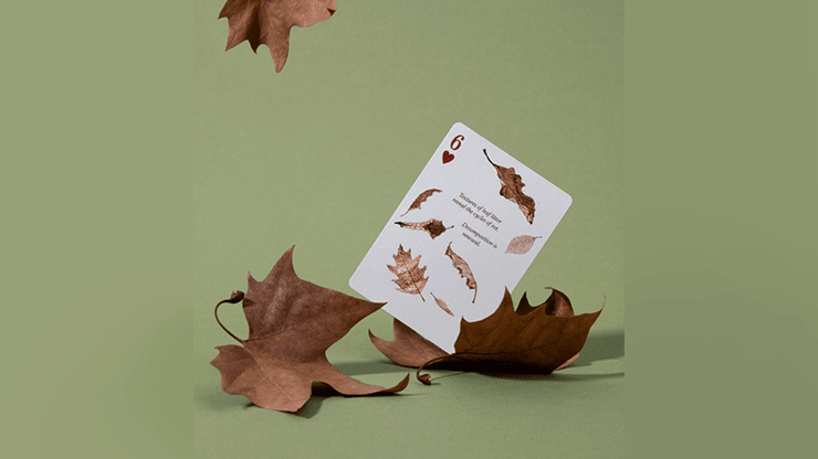 PlayingCardDecks.com-Eastern Forest Playing Cards USPCC