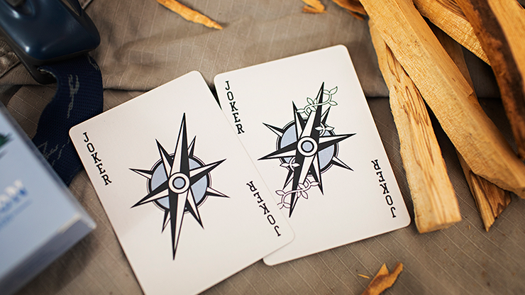 PlayingCardDecks.com-Elevation Day Playing Cards Cartamundi