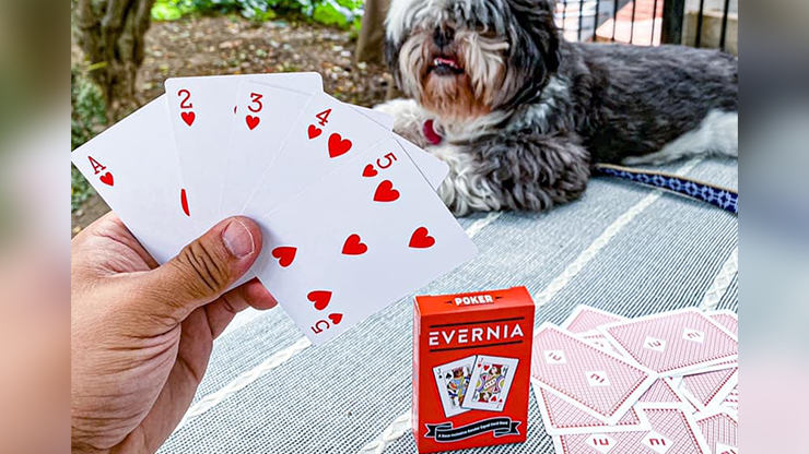 PlayingCardDecks.com-Evernia Playing Cards