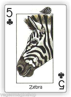 PlayingCardDecks.com-Wild Playing Cards Hidden Seek-N-Find Animals Deck