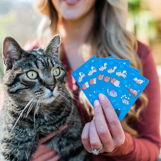 PlayingCardDecks.com-Good Kitty / Bad Kitty Plastic Playing Cards 2 Deck Set