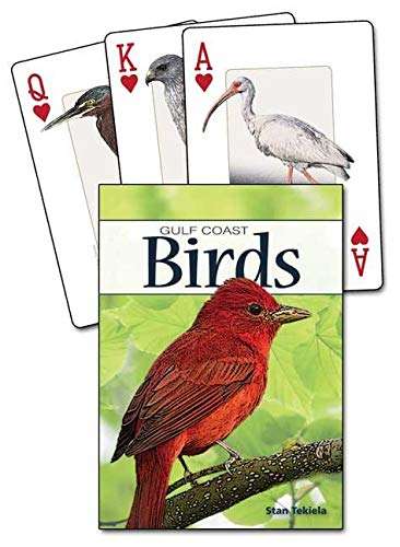 PlayingCardDecks.com-Gulf Coast Birds Playing Cards