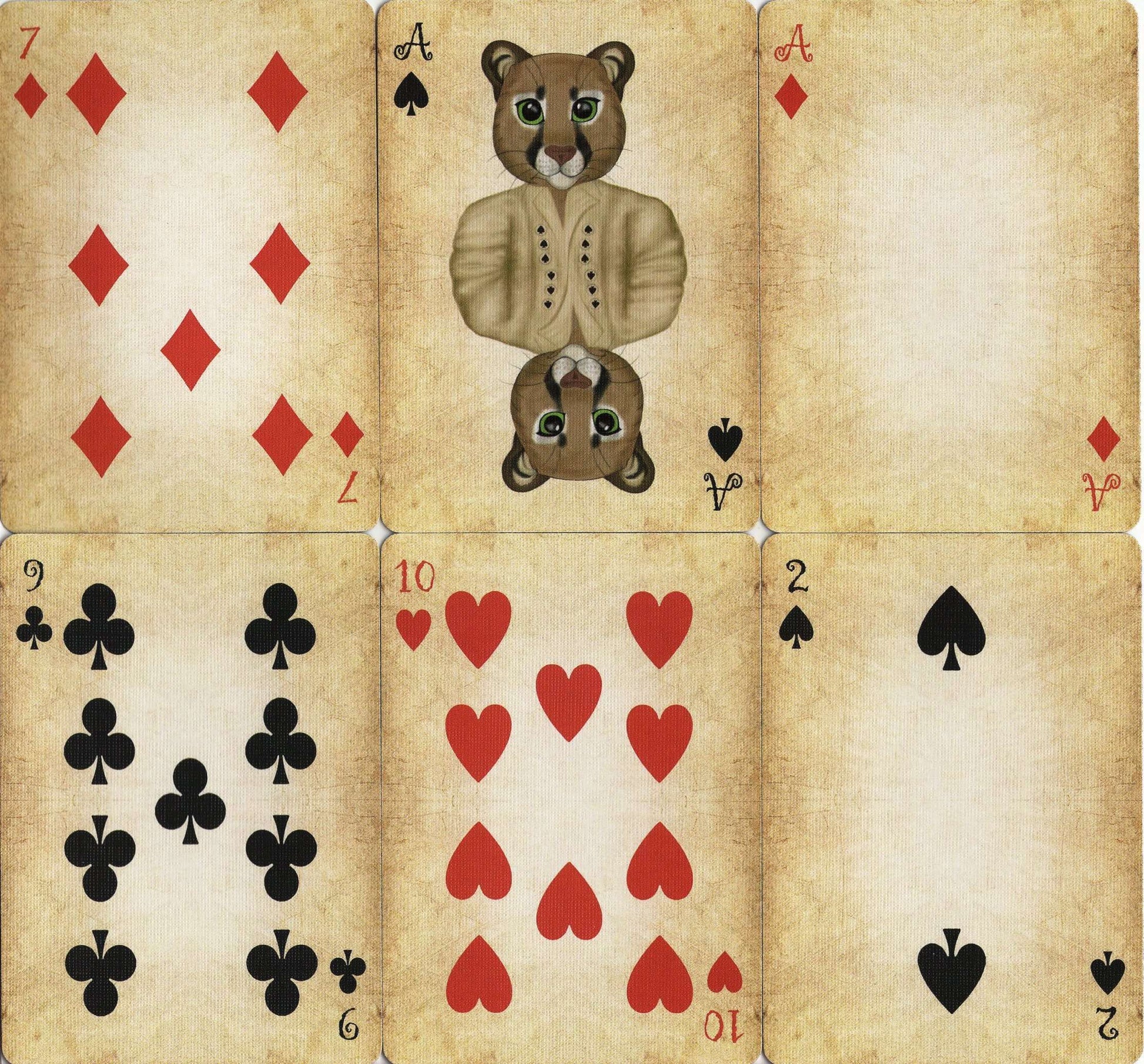 PlayingCardDecks.com-Friendly Felines Playing Cards USPCC