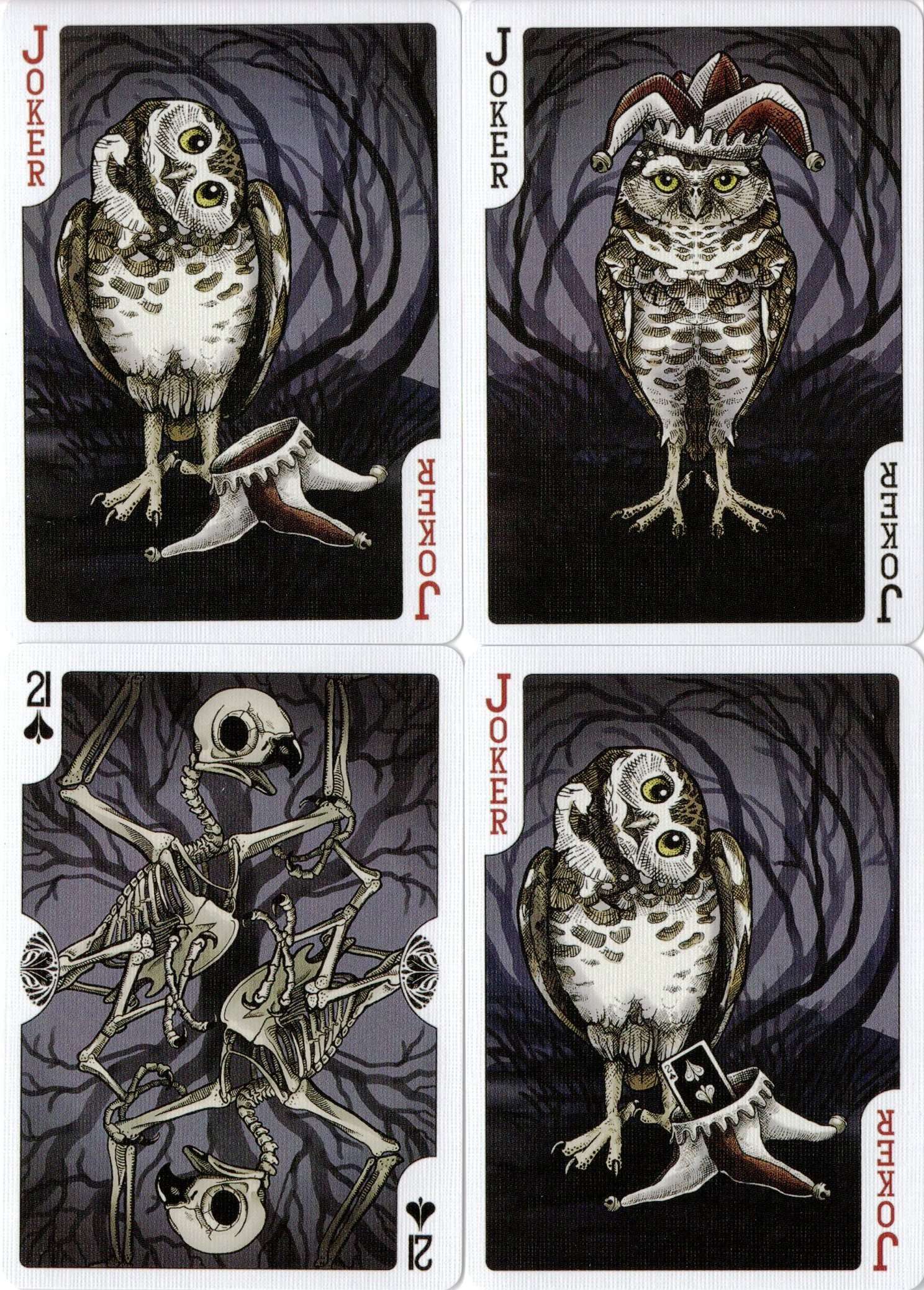 PlayingCardDecks.com-Strigiformes Owl Bicycle Playing Cards