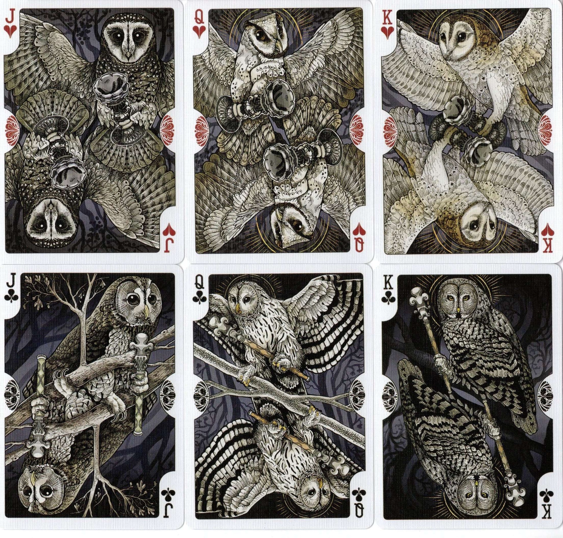 PlayingCardDecks.com-Strigiformes Owl Bicycle Playing Cards