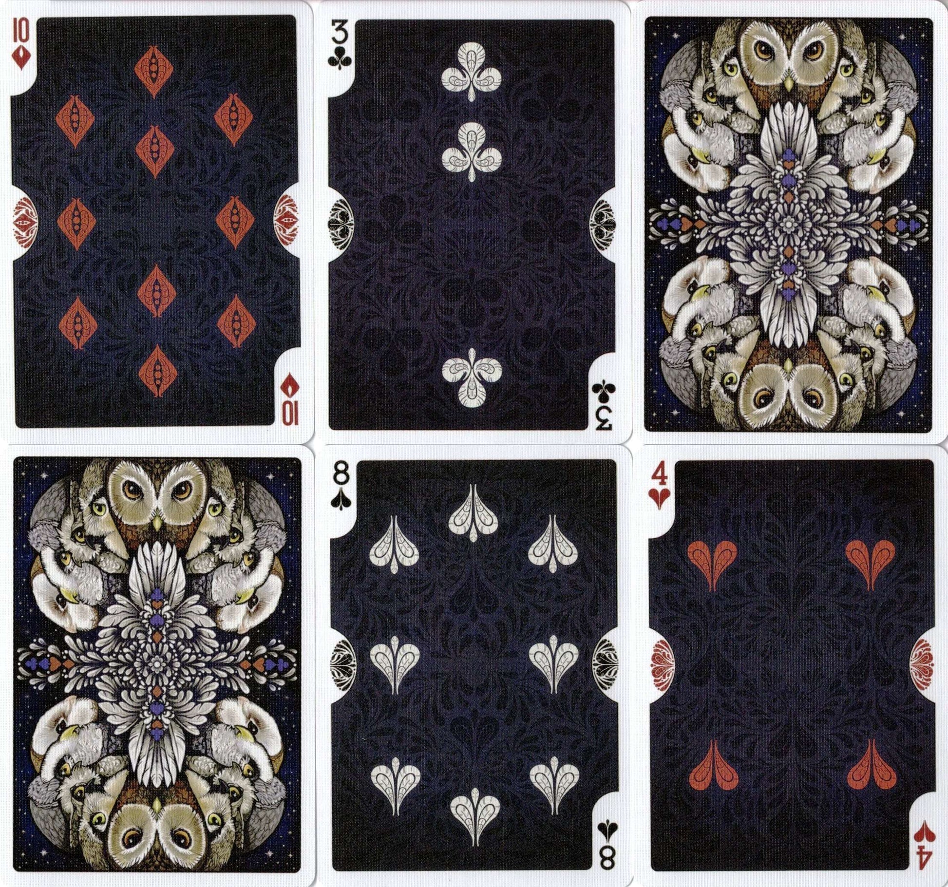 PlayingCardDecks.com-Strigiformes Owl Bicycle Playing Cards