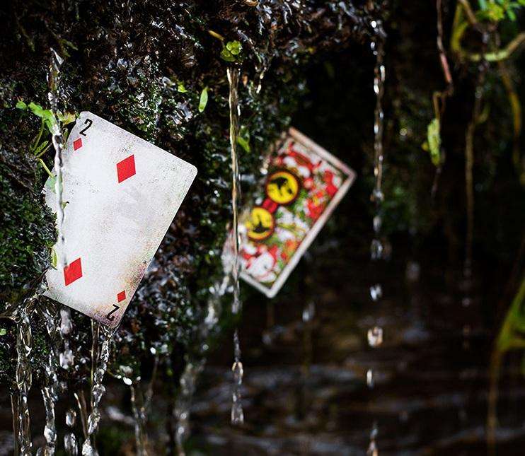 PlayingCardDecks.com-Jurassic Park Playing Cards Cartamundi