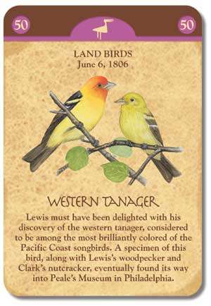 PlayingCardDecks.com-Lewis & Clark Exploration Card Games USGS