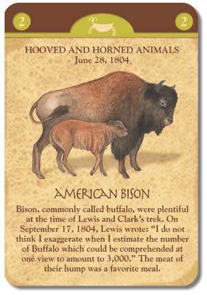 PlayingCardDecks.com-Lewis & Clark Exploration Card Games USGS