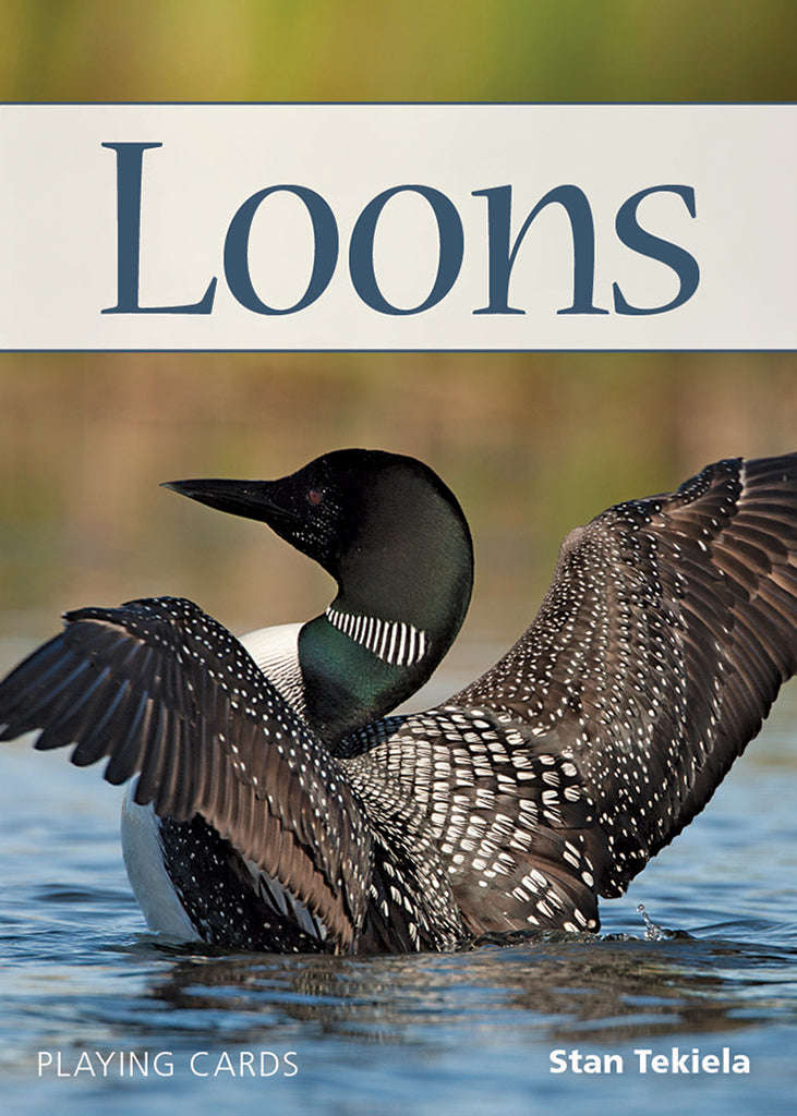 PlayingCardDecks.com-Loons Playing Cards