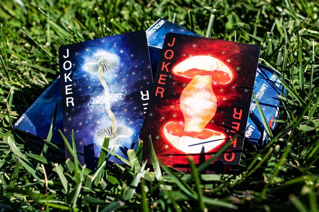 PlayingCardDecks.com-Fungi Mystic Mushrooms Mycological Playing Cards USPCC