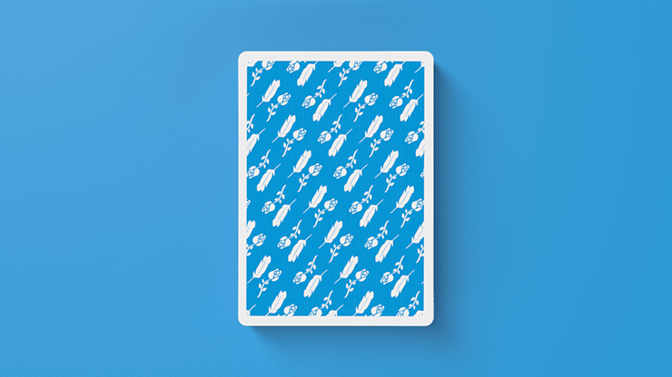 PlayingCardDecks.com-MxS Casino Marked Stripper Playing Cards USPCC