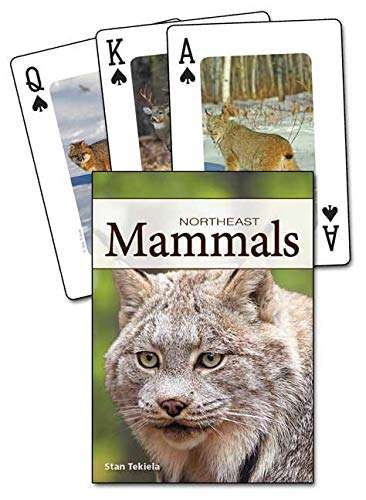 PlayingCardDecks.com-Northeast Mammals Playing Cards