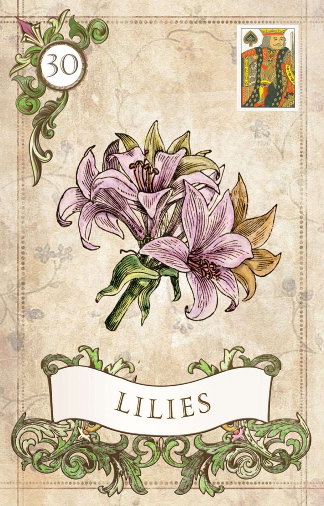 PlayingCardDecks.com-Old Style Lenormand Fortune Telling Cards USGS