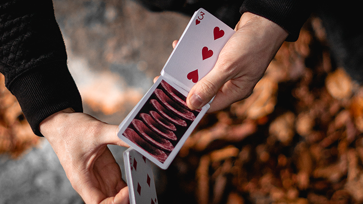PlayingCardDecks.com-Parallax Playing Cards Cartamundi
