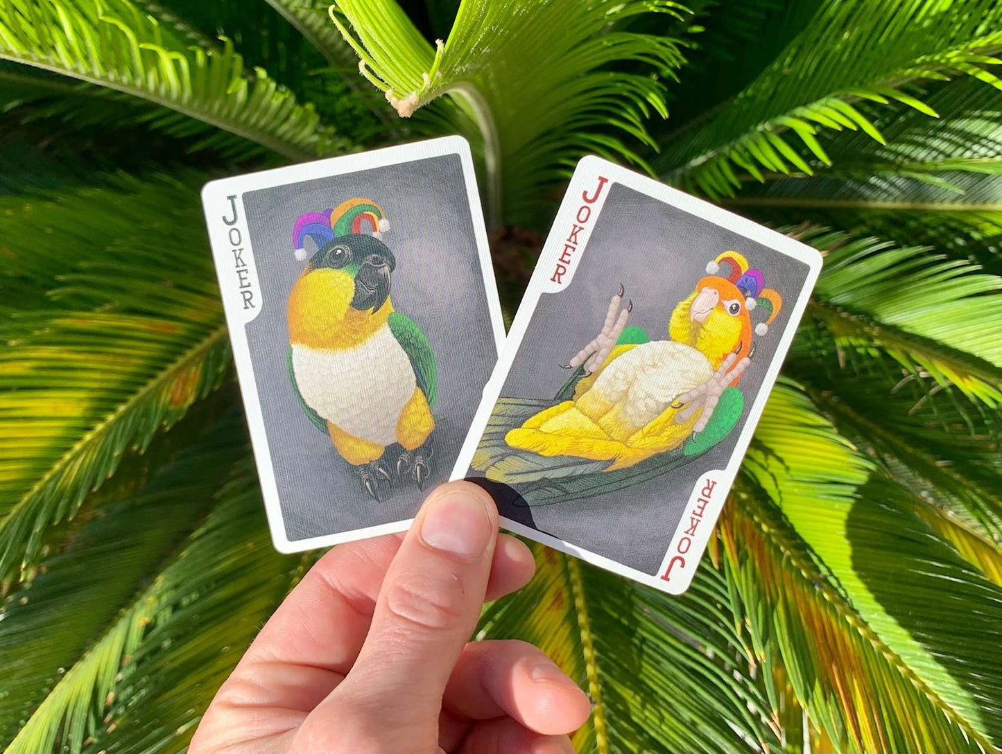 PlayingCardDecks.com-Parrot Extinct Bicycle Playing Cards