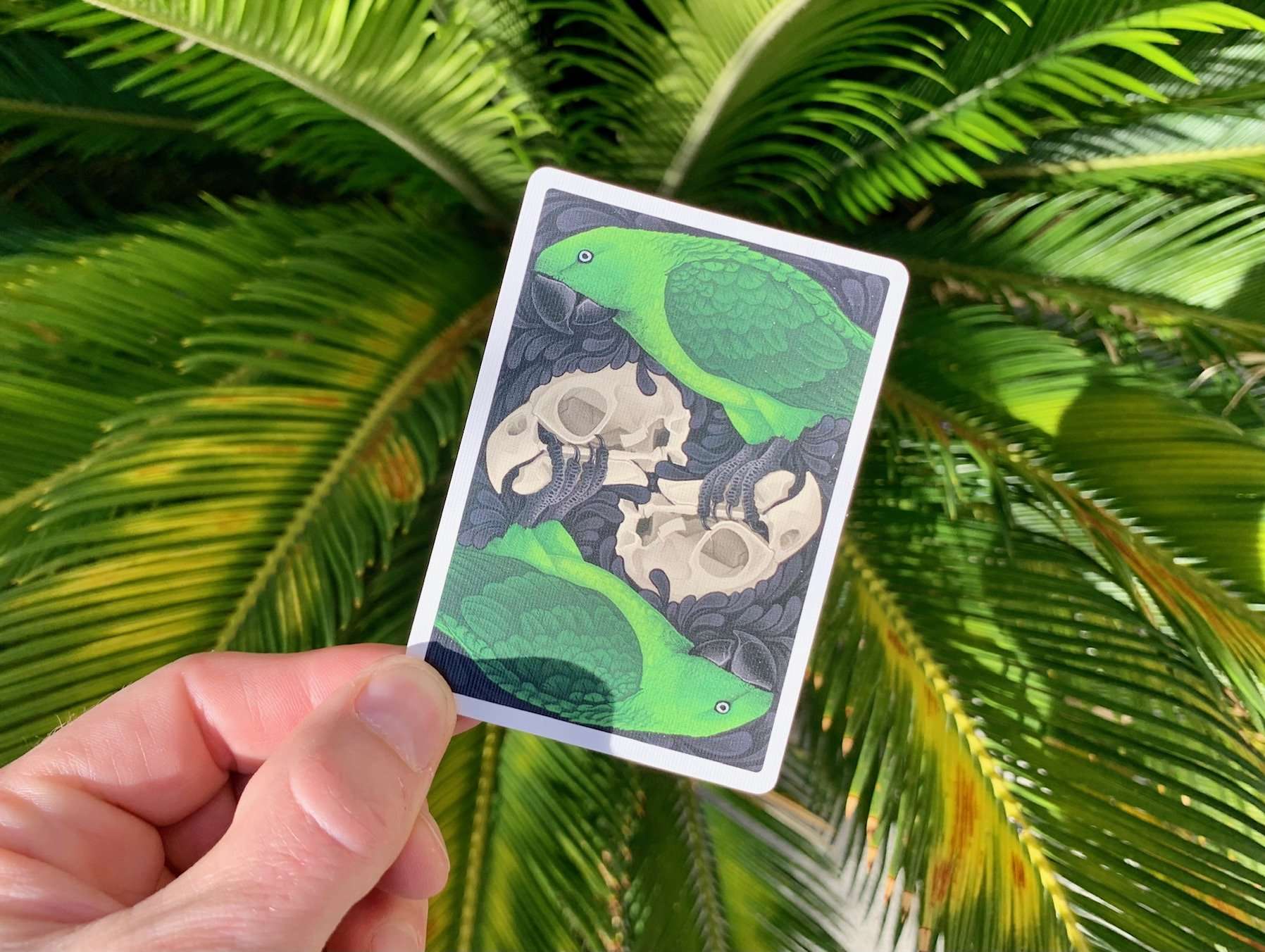 PlayingCardDecks.com-Parrot Extinct Bicycle Playing Cards