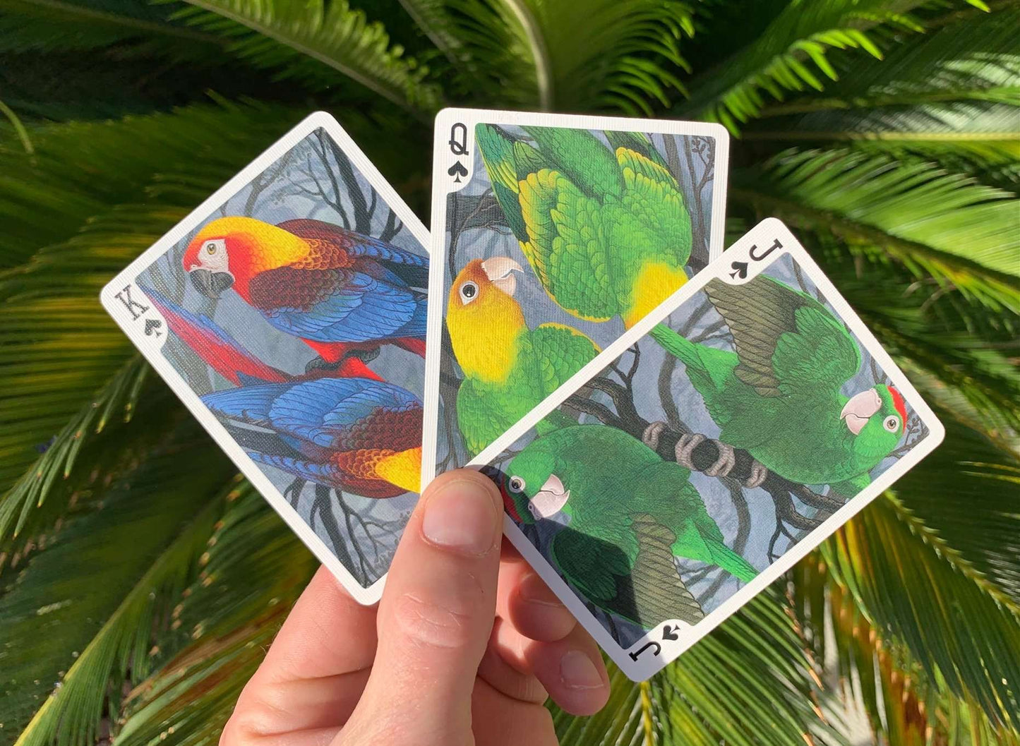 PlayingCardDecks.com-Parrot Extinct Gilded Bicycle Playing Cards