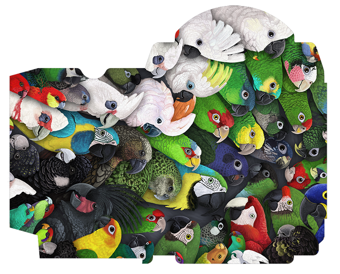 PlayingCardDecks.com-Parrot Gilded Bicycle Playing Cards