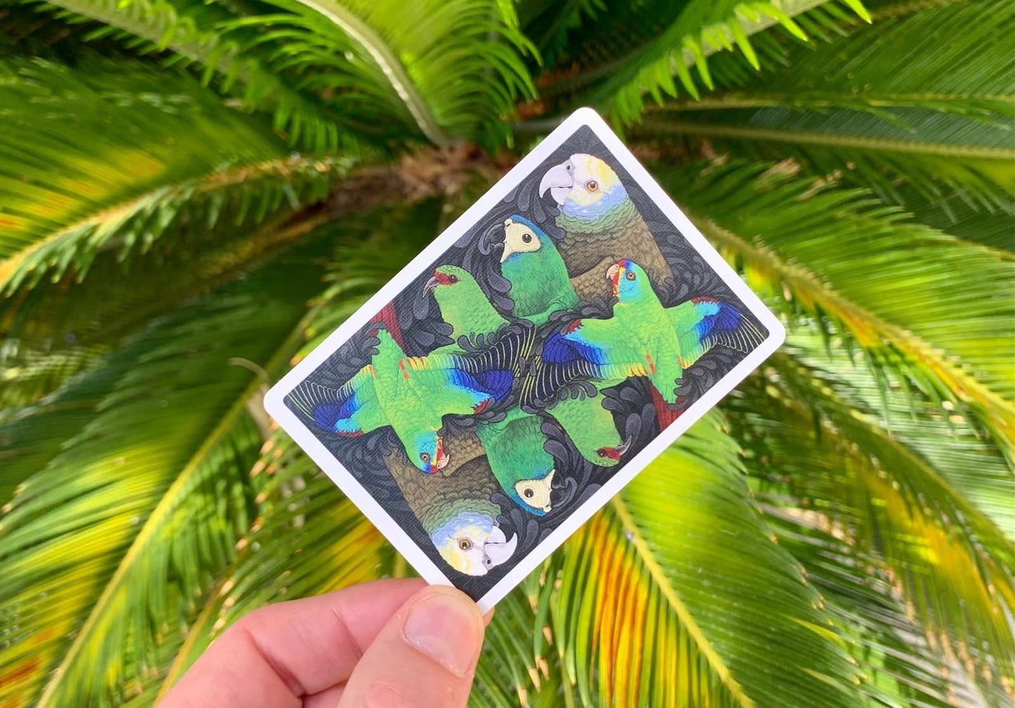 PlayingCardDecks.com-Parrot Gilded Bicycle Playing Cards