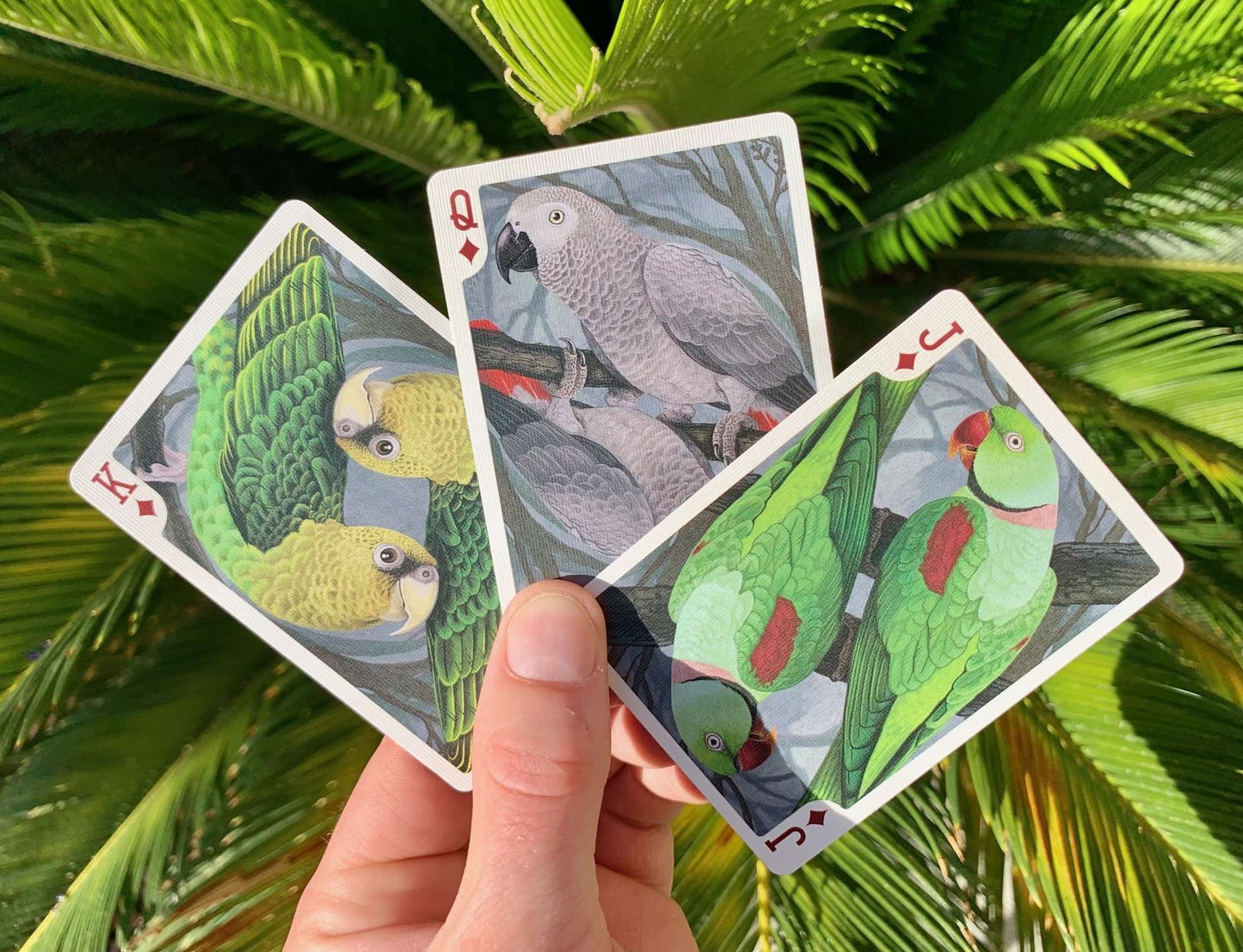 PlayingCardDecks.com-Parrot Gilded Bicycle Playing Cards