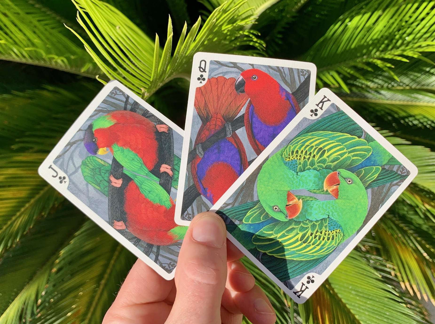 PlayingCardDecks.com-Parrot Gilded Bicycle Playing Cards