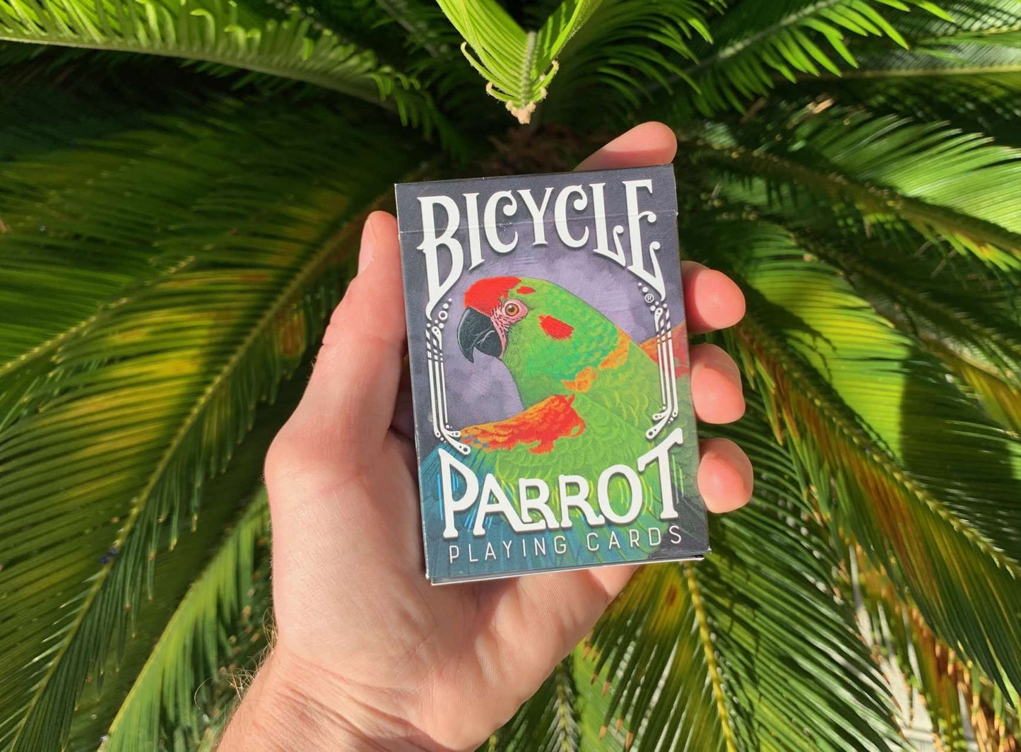 PlayingCardDecks.com-Parrot Gilded Bicycle Playing Cards