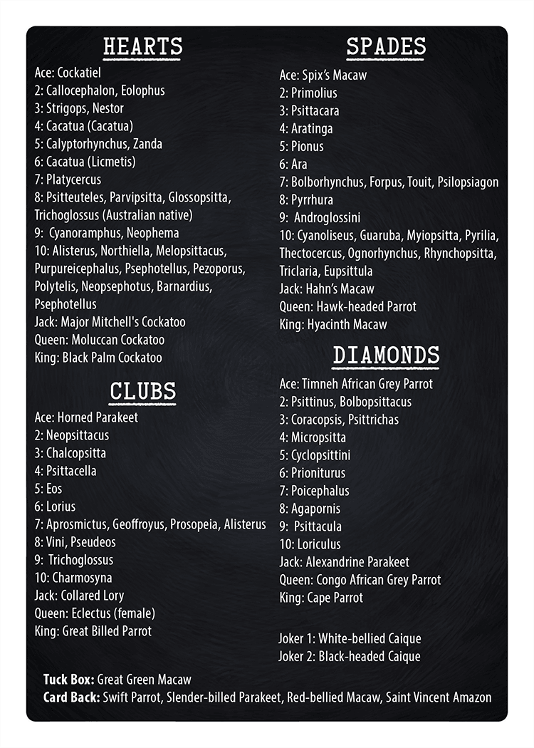 PlayingCardDecks.com-Parrot Gilded Bicycle Playing Cards