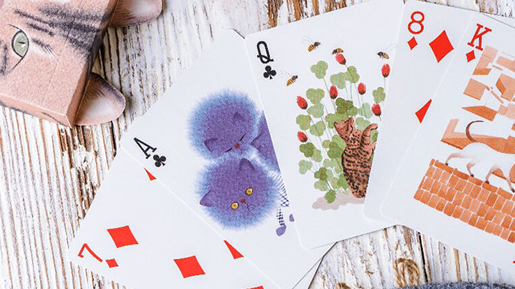 PlayingCardDecks.com-Playful Paws Cat Playing Cards WJPC