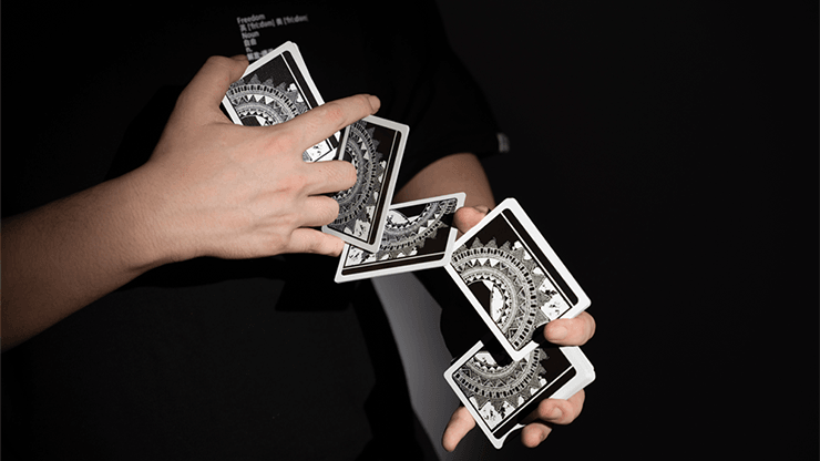 PlayingCardDecks.com-Portrait To Art Playing Cards