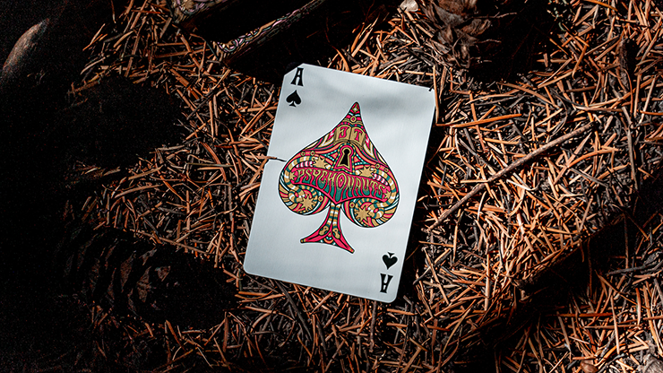 PlayingCardDecks.com-Psychonauts Playing Cards USPCC