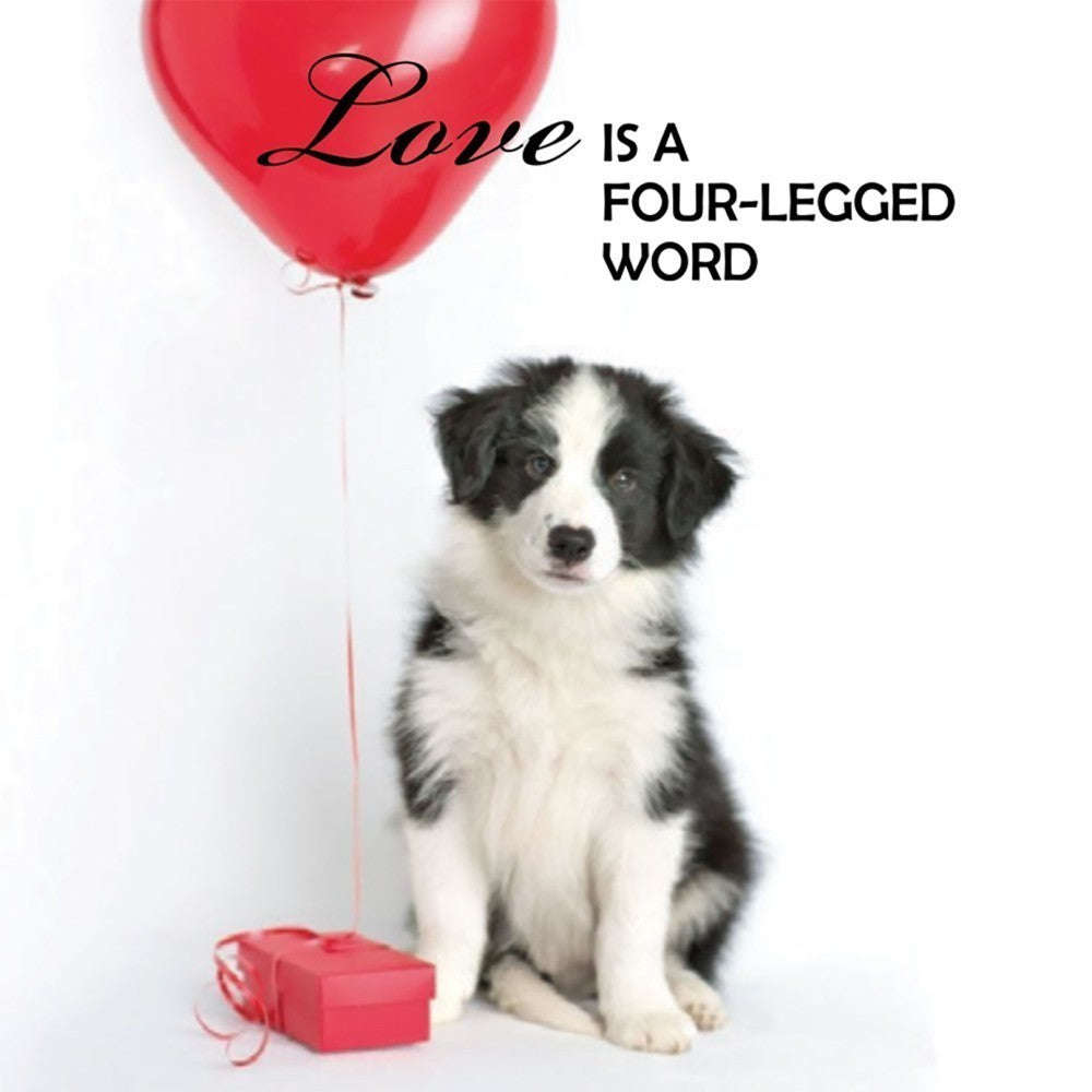 PlayingCardDecks.com-Pup Notes - 60 Notes of Dog Love & Joy