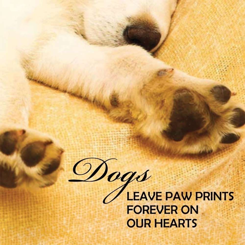 PlayingCardDecks.com-Pup Notes - 60 Notes of Dog Love & Joy