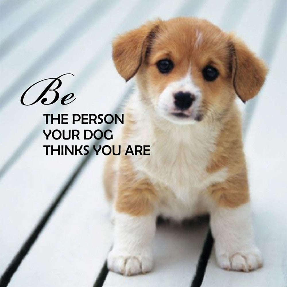 PlayingCardDecks.com-Pup Notes - 60 Notes of Dog Love & Joy