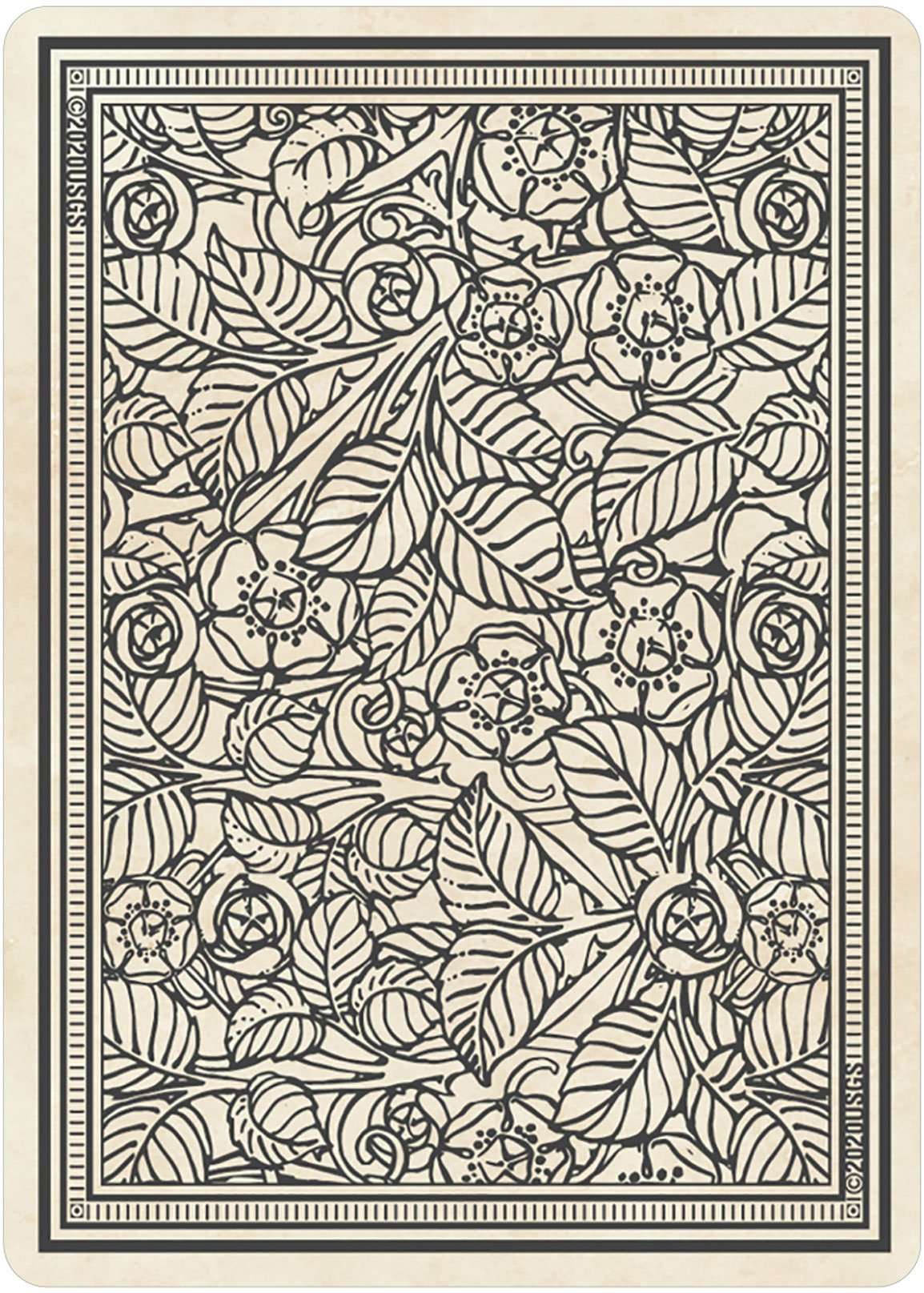 PlayingCardDecks.com-Rider-Waite Playing Card Tarot Deck USGS