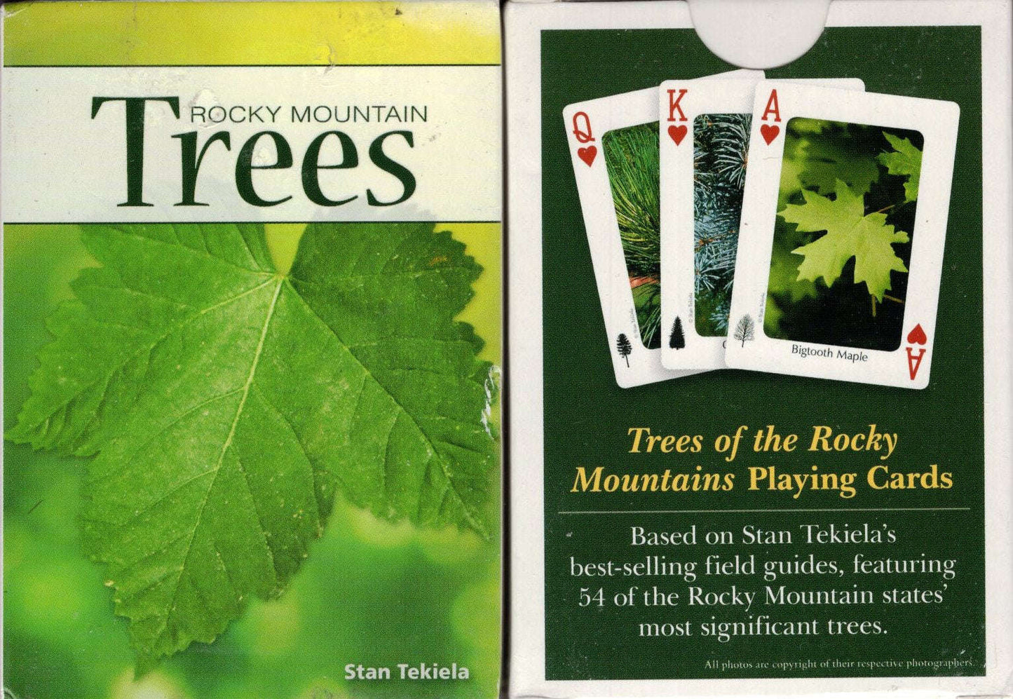 PlayingCardDecks.com-Rocky Mountain Trees Playing Cards