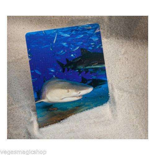 PlayingCardDecks.com-Sharks Bicycle Playing Cards Bilingual Box Edition