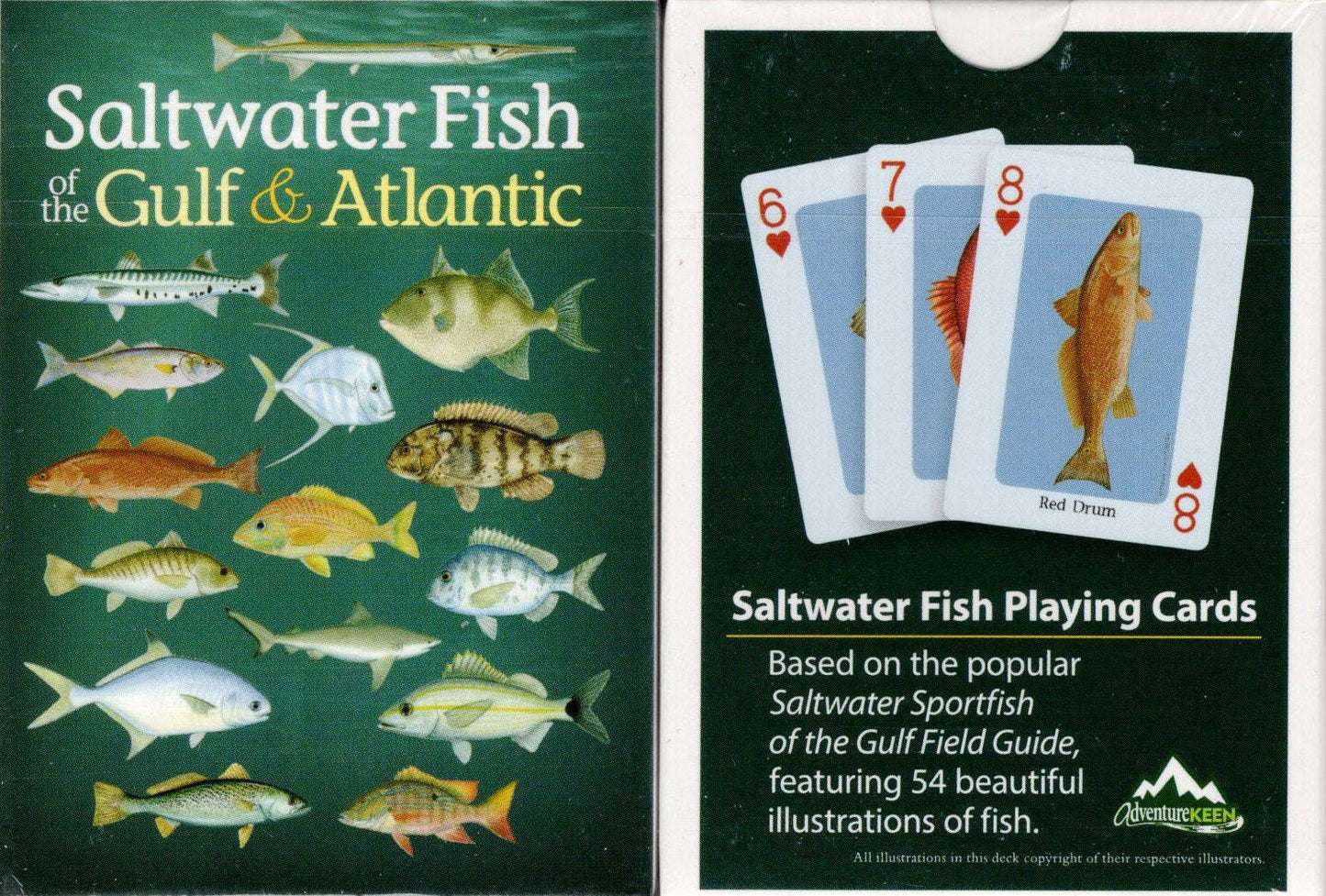 PlayingCardDecks.com-Saltwater Fish of the Gulf & Atlantic Playing Cards