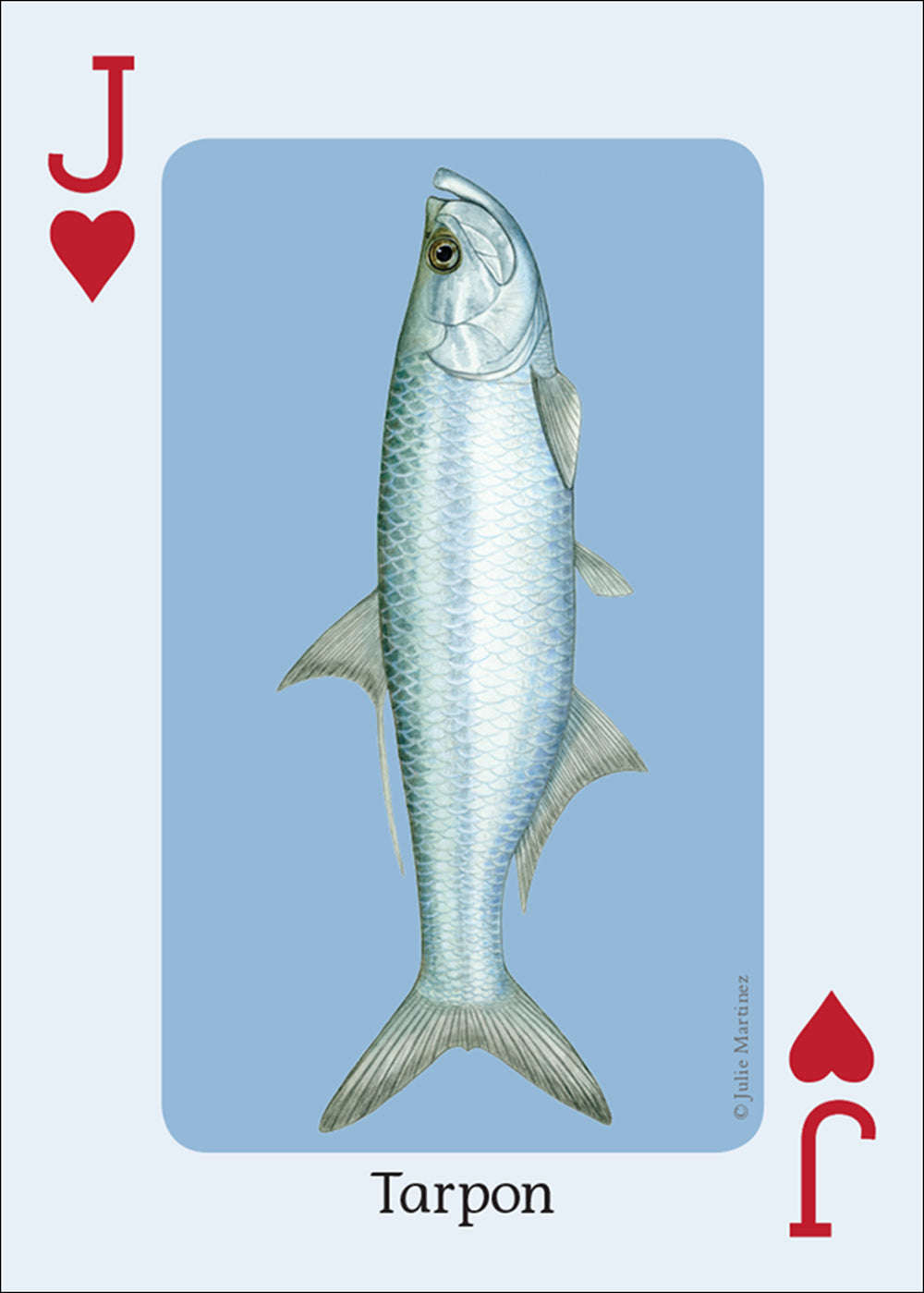 PlayingCardDecks.com-Saltwater Fish of the Gulf & Atlantic Playing Cards