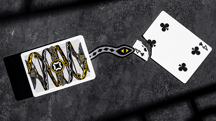 PlayingCardDecks.com-Snakes & Ladders Marked Playing Cards USPCC
