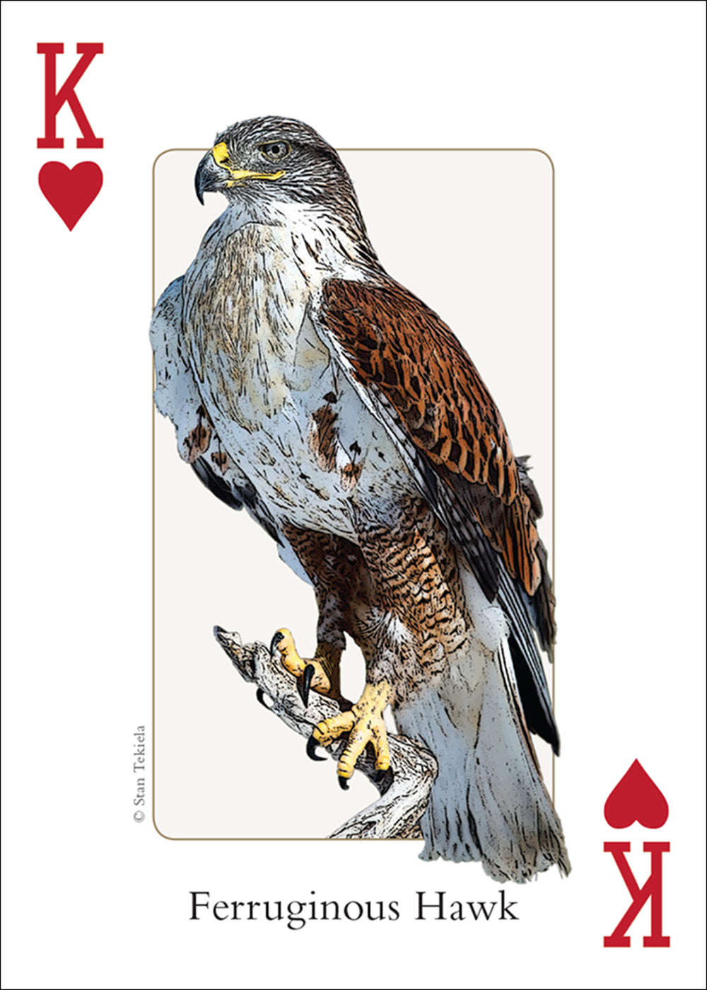 PlayingCardDecks.com-Southwest Birds Playing Cards