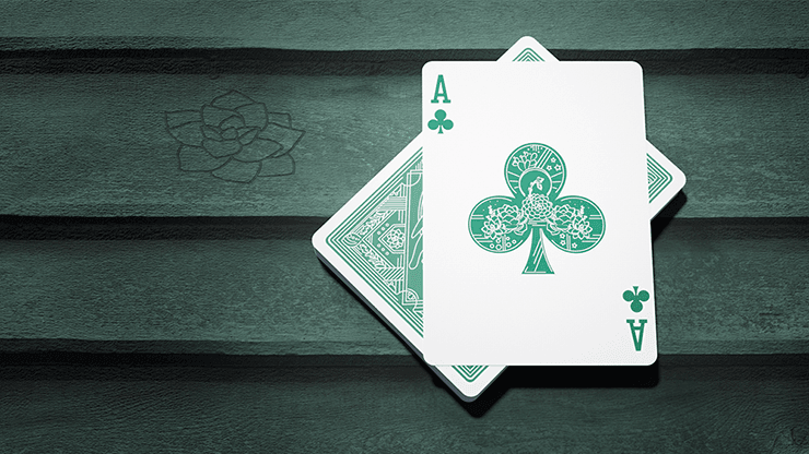 PlayingCardDecks.com-Succulents Gilded Playing Cards USPCC