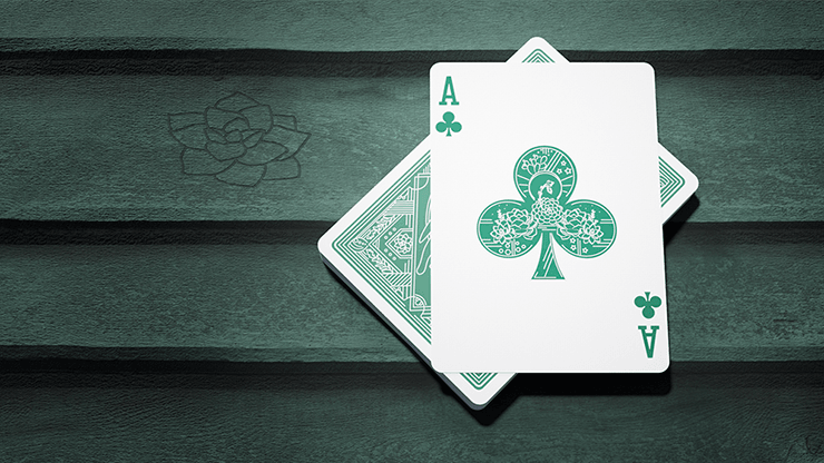 PlayingCardDecks.com-Succulents Playing Cards USPCC