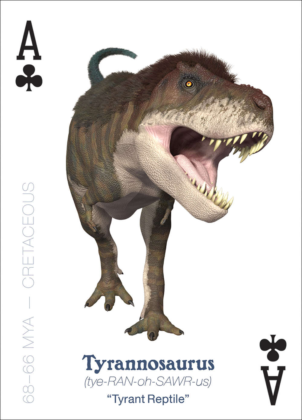 PlayingCardDecks.com-The Amazing World of Dinosaurs Playing Cards
