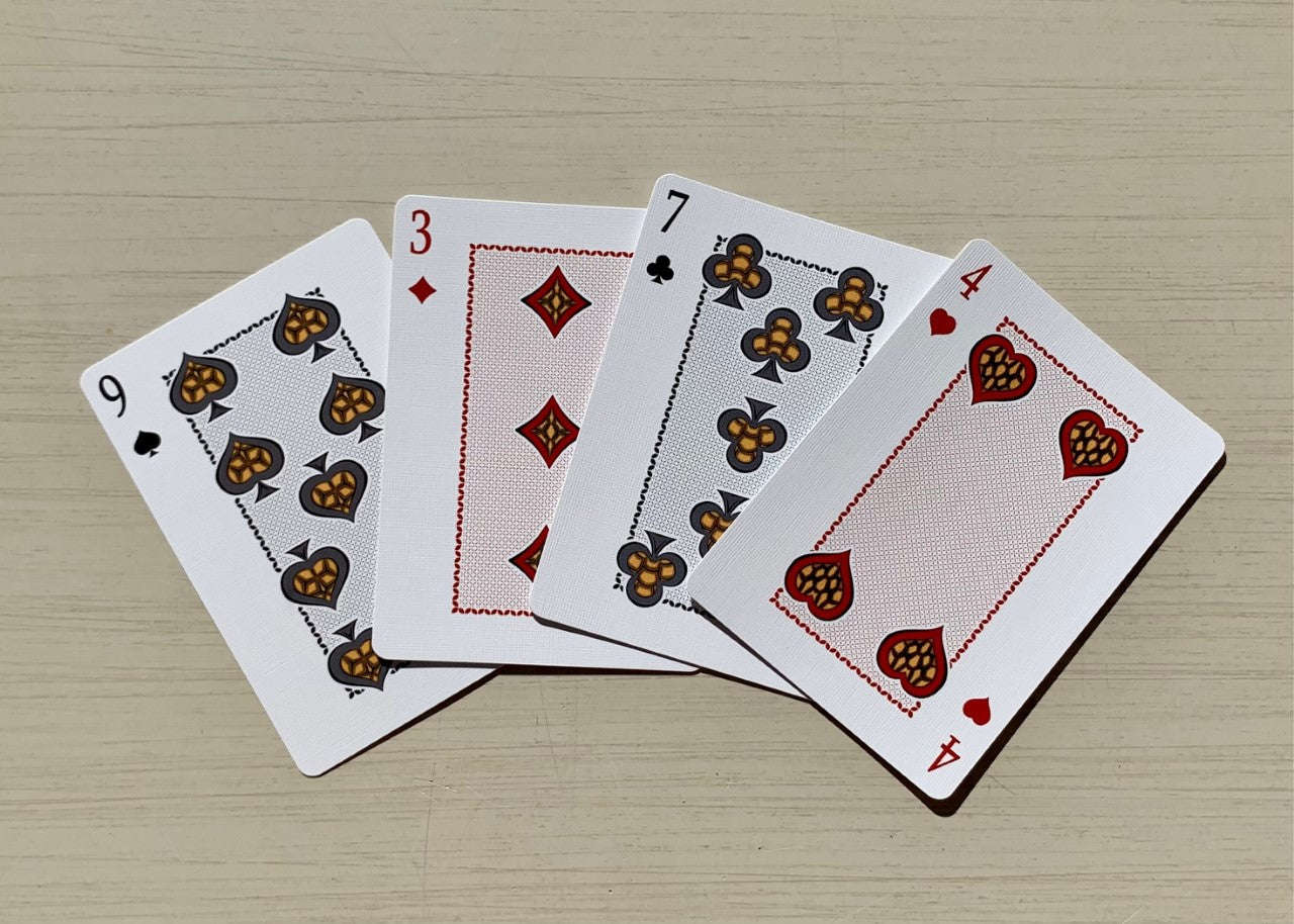 PlayingCardDecks.com-Turtle Bicycle Playing Cards